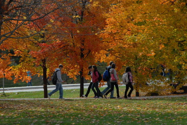 Fall Students Walking