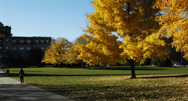 Fall at ISU