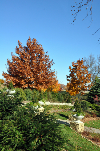 Fall in the Formal Lawn Garden at Reiman Gardens