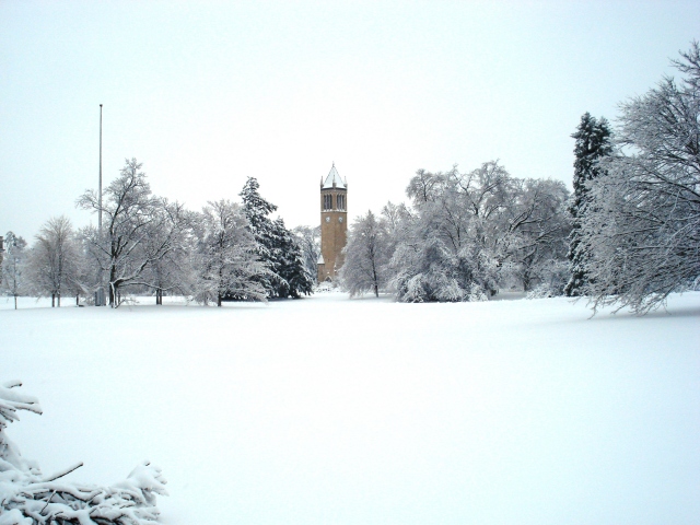 Wintry Campus