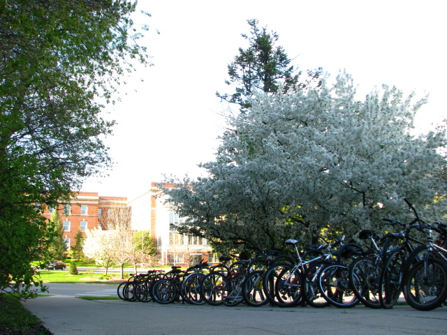 Bicycles outside of Friley Hall