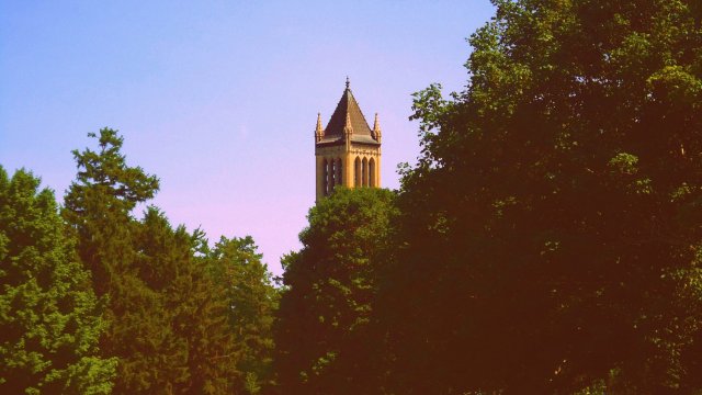 Campanile, hidden by trees