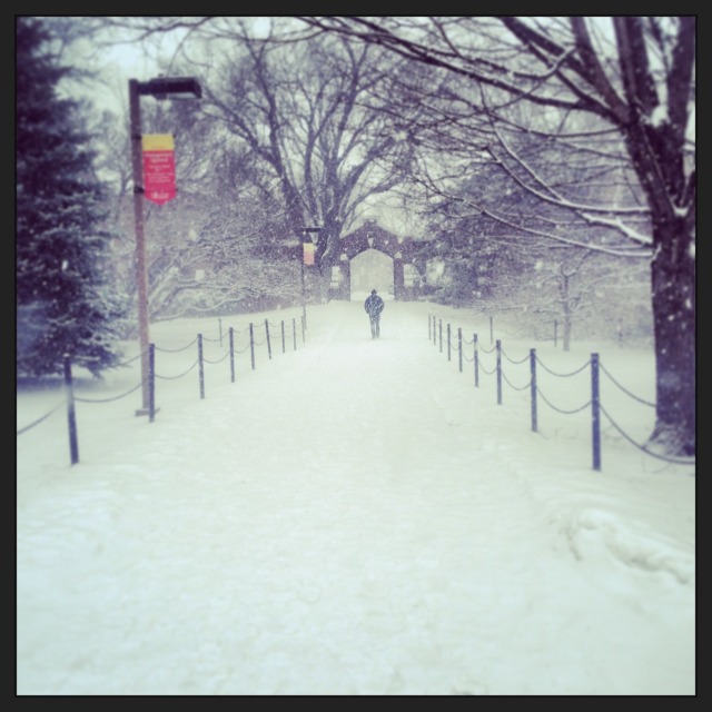 Snowy Tuesday outside Lago Hall
