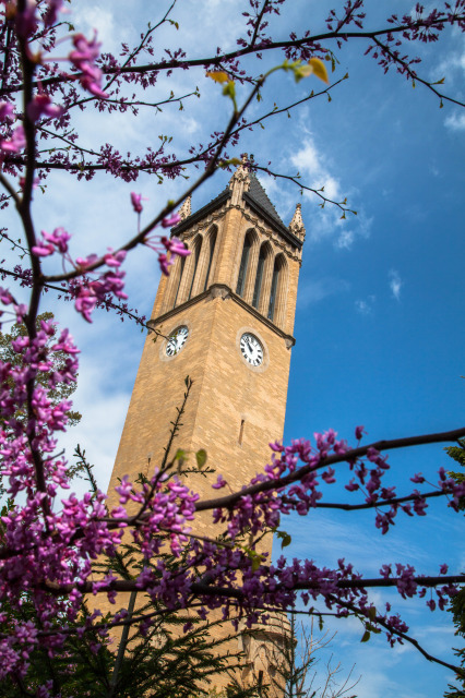 The Campanile during early spring