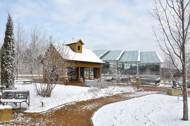 Children's Garden at Reiman Gardens in the winter