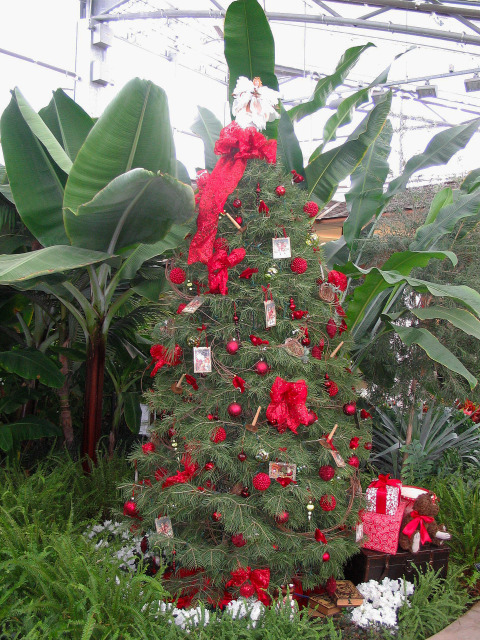 Holiday Show in the Hughes Conservatory at Reiman Gardens