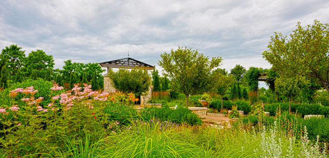 Jones Rose Garden at Reiman Gardens in the summer
