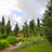Stafford Garden at Reiman Gardens in the summer