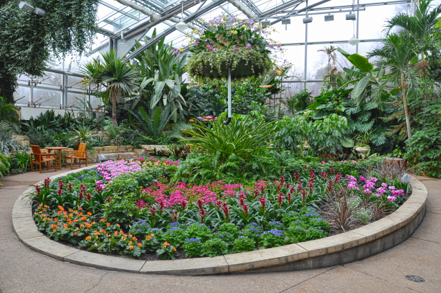Conservatory interior at Reiman Gardens