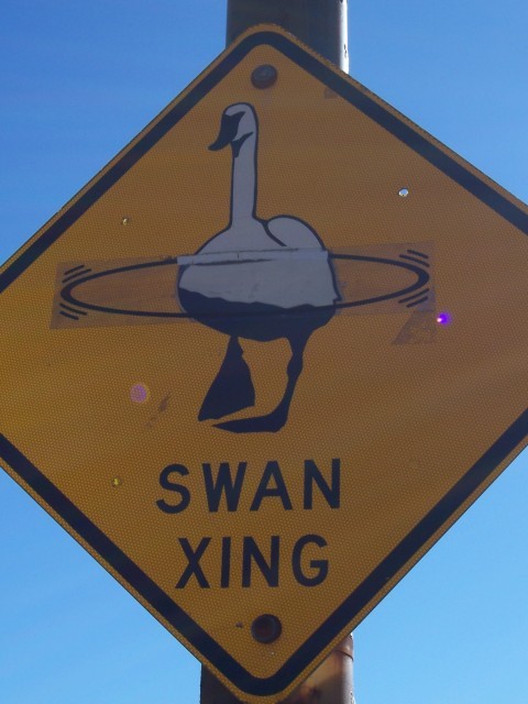 Swan Crossing sign