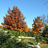 Fall in the Formal Lawn Garden at Reiman Gardens