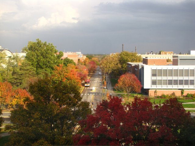 Fall 2010