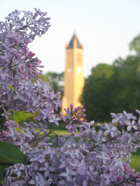 Spring on Campus
