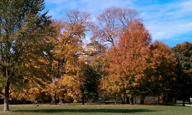 Fall on Campus