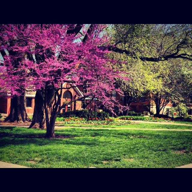 colorful campus
