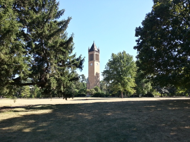 The Campanile on a Perfect Day