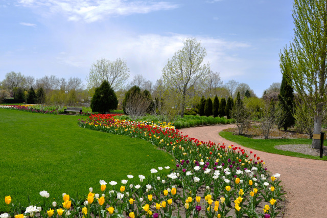Campanile Garden at Reiman Gardens in the spring