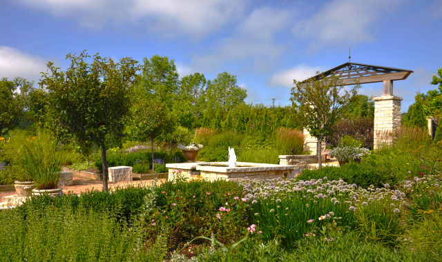 Jones Rose Garden at Reiman Gardens in the summer