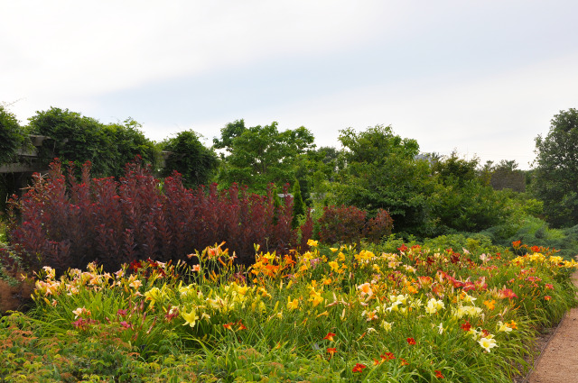 North Mixed Border at Reiman Gardens in the summer