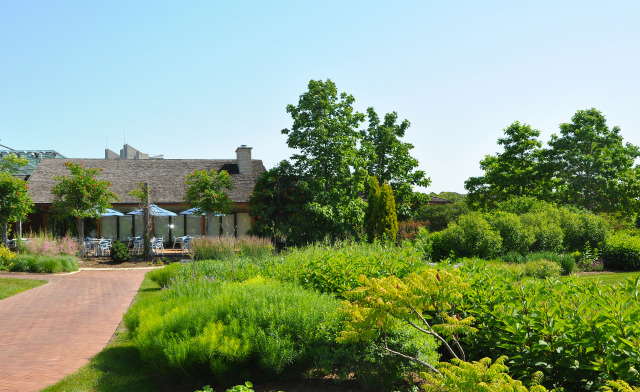 South Field at Reiman Gardens in the summer