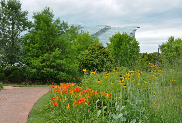 South Field at Reiman Gardens in the summer