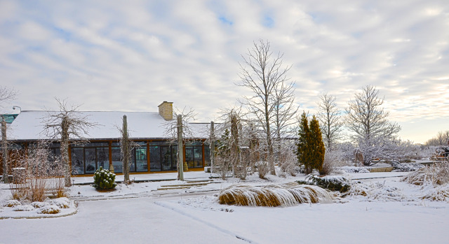 South Field at Reiman Gardens in the winter