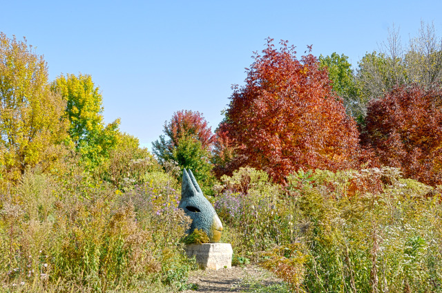 Stafford Garden at Reiman Gardens in the fall
