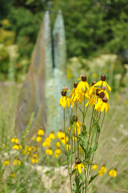 summer flower closeup at Reiman Gardens