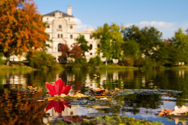 Fall Foliage @ ISU (2015)