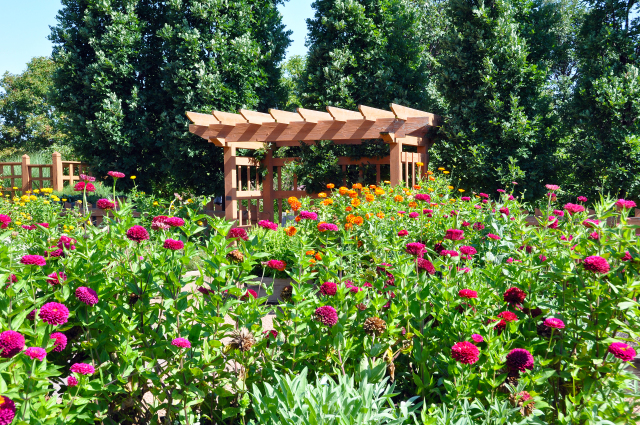 Herb Garden at Reiman Gardens