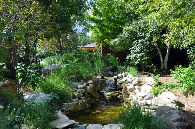 Naturalist Garden at Reiman Gardens