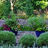Pattern Garden at Reiman Gardens