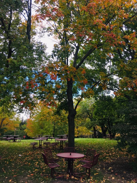 Just another day at ISU. #fall🍁