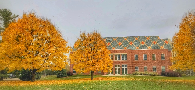 Fall Colors on Campus