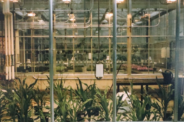 Horticulture Hall on Film