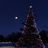 Christmas tree under a starry night